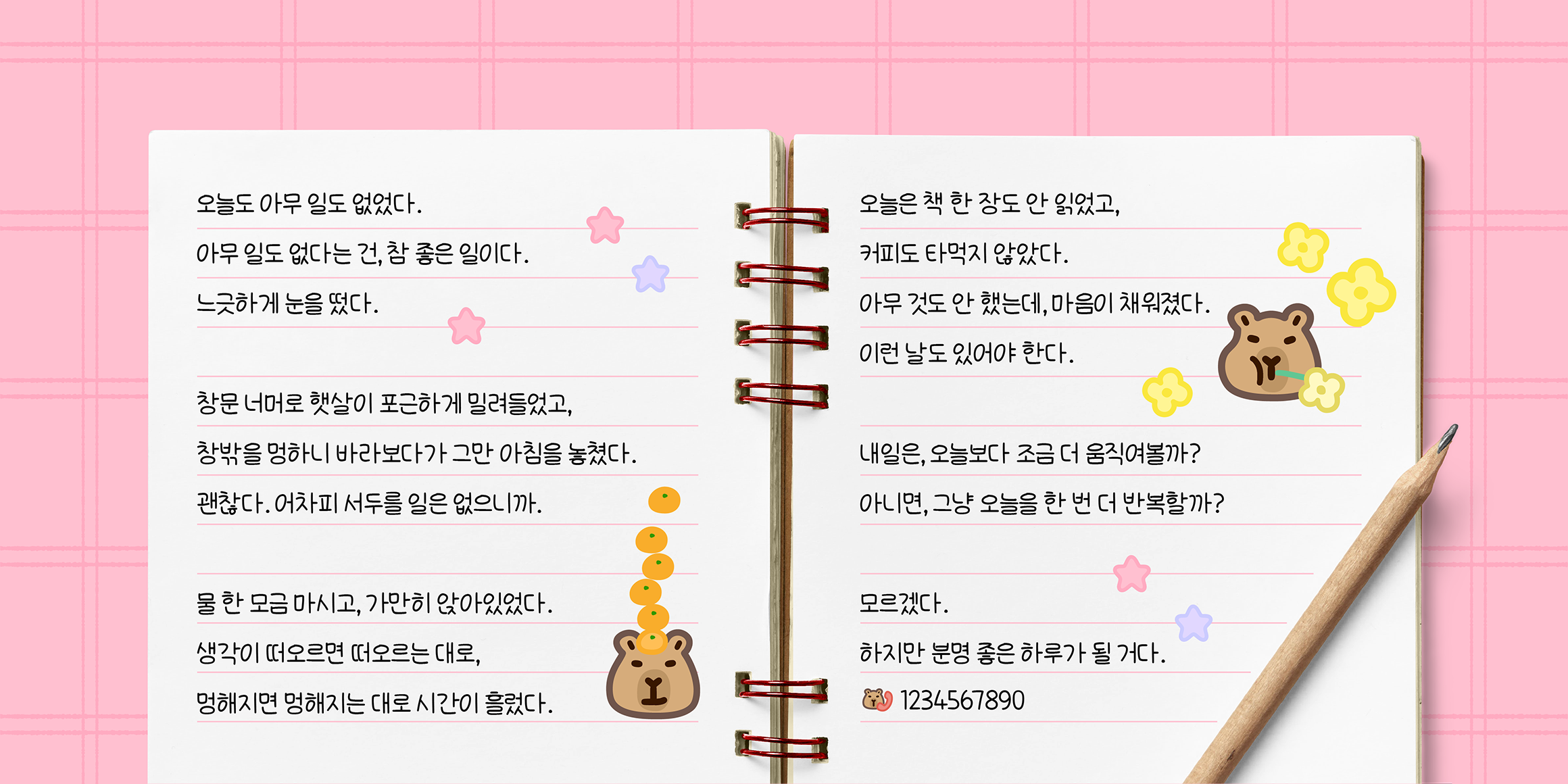 J포근한카피바라 관련 이미지